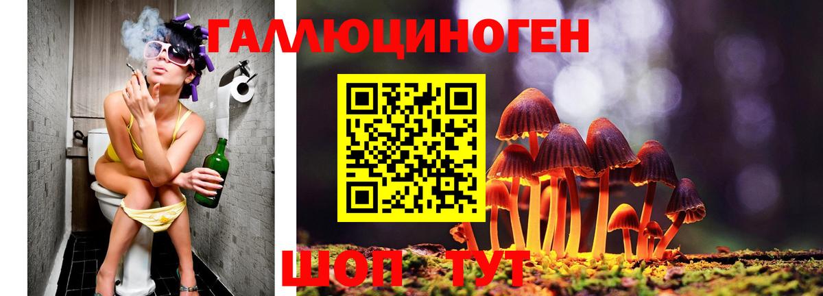 Псилоцибиновые грибы мицелий  магазин продажи   Изобильный  Вход с VPN 